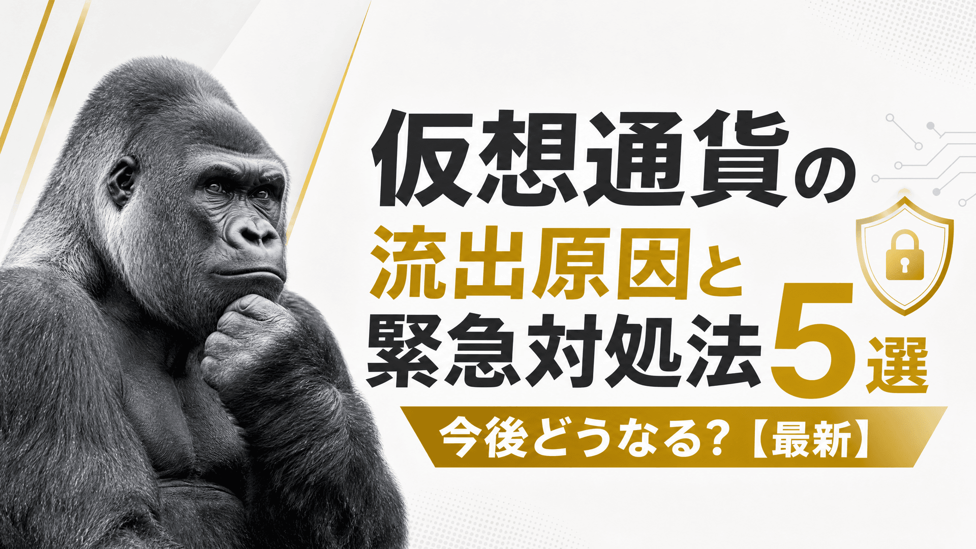 仮想通貨の流出原因と緊急対処法5選・今後どうなる？【最新】
