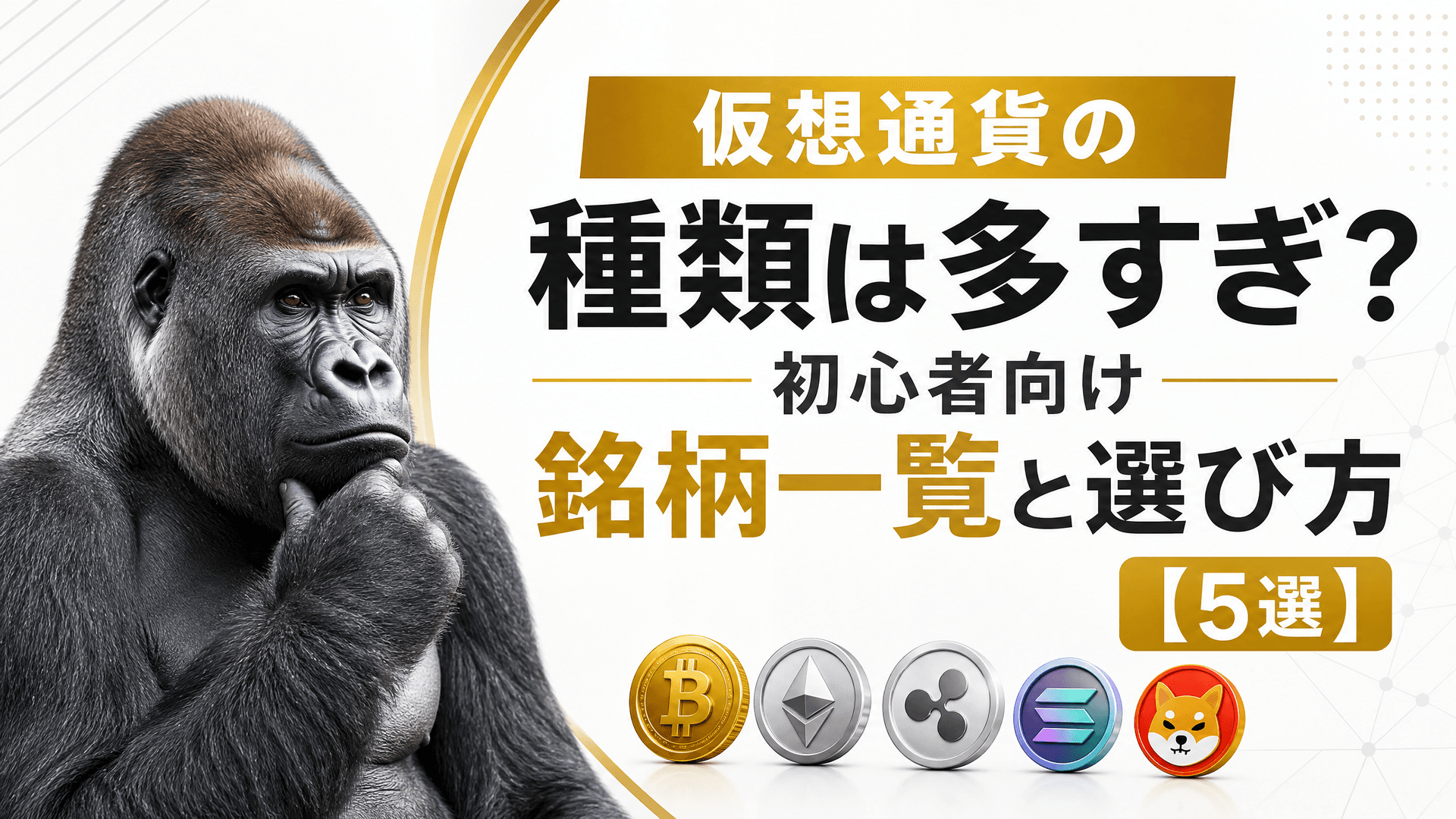 仮想通貨の種類は多すぎ？初心者向け銘柄一覧と選び方【5選】