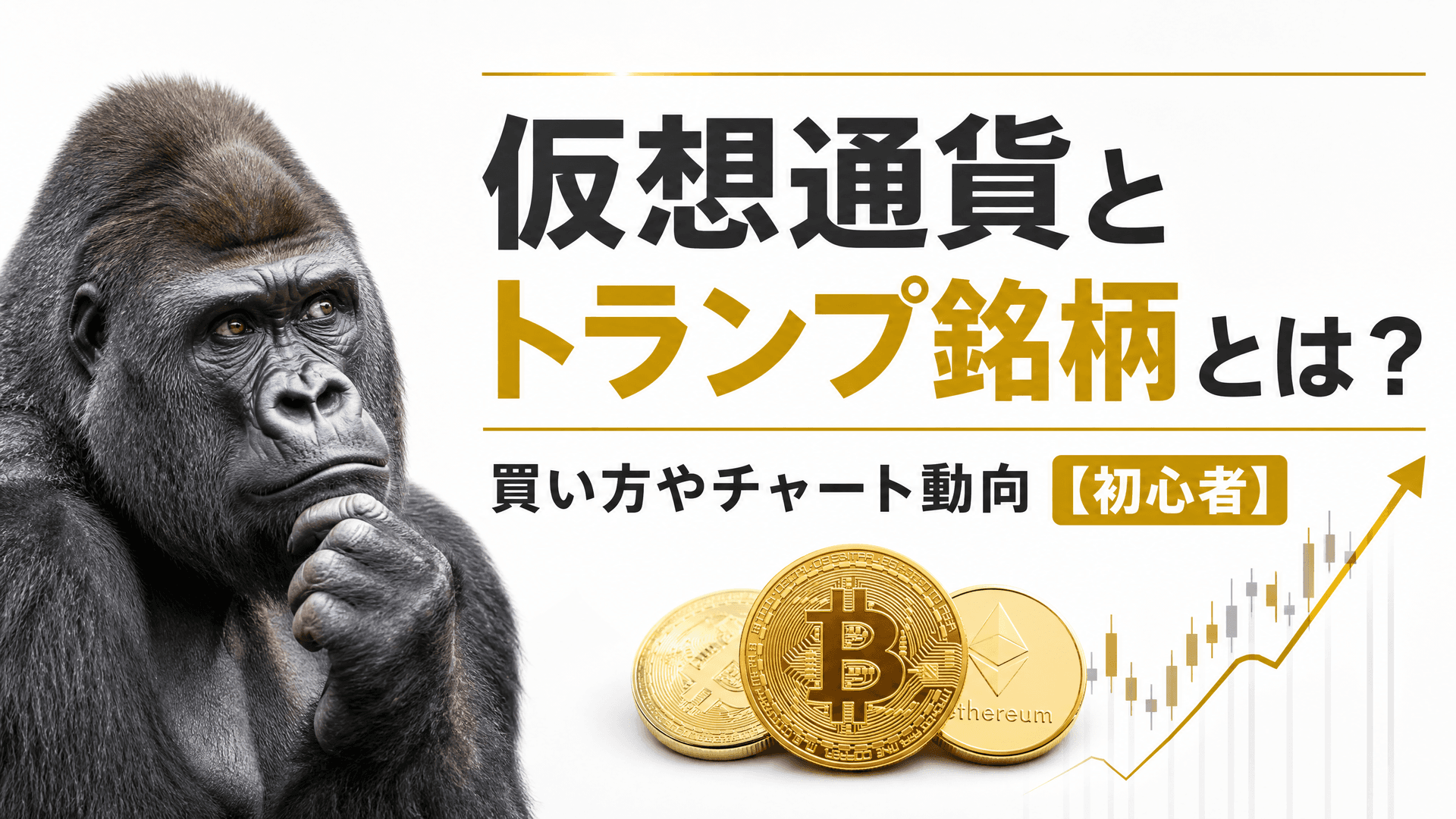 仮想通貨とトランプ銘柄とは？買い方やチャート動向【初心者】